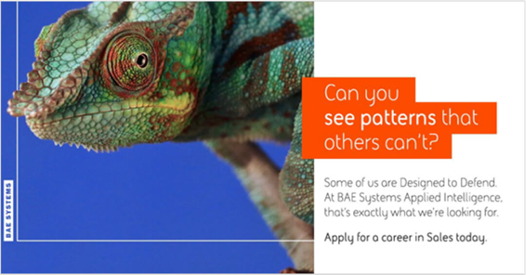 An image of a chameleon next to words about why to apply for BAE Systems