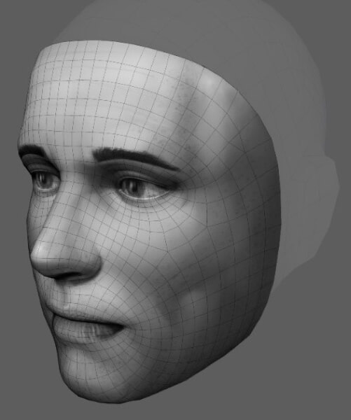 Face with grid for AR